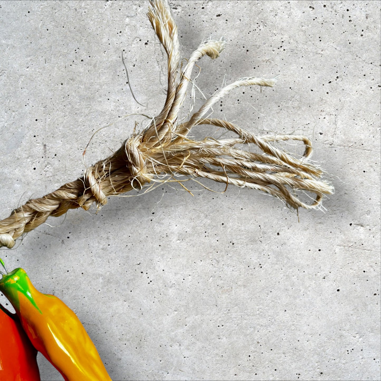 Multi color chili peppers loop
