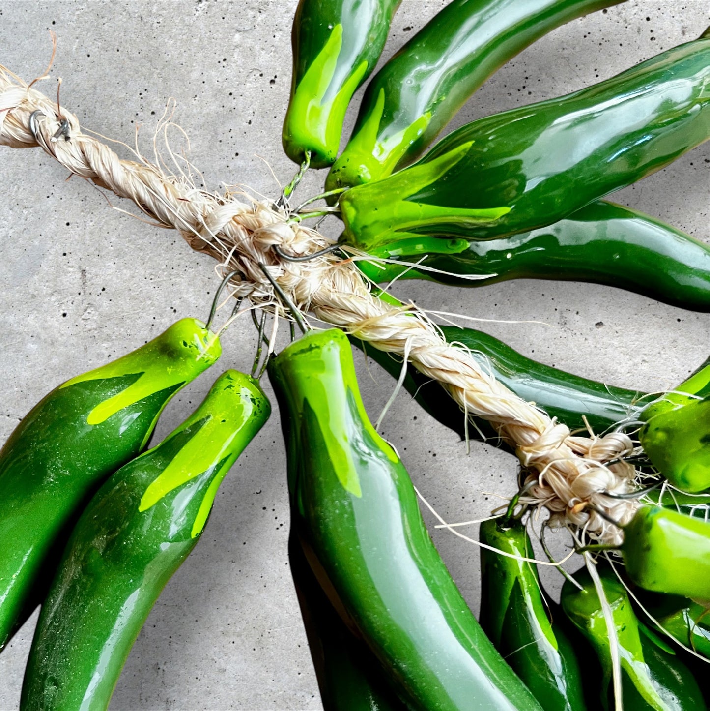 Chili peppers Verdi green close up attached