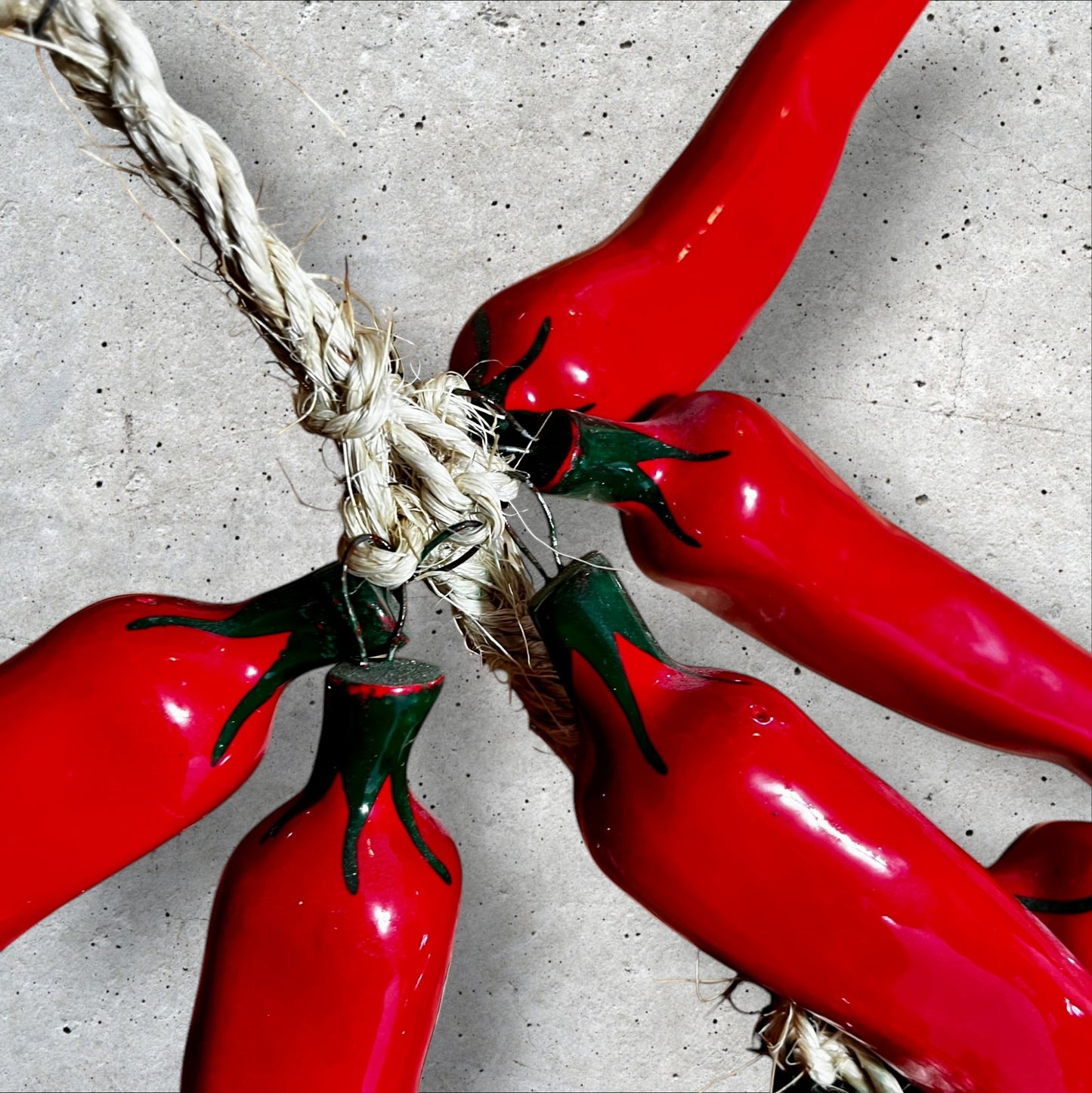 CHILI PEPPERS! Big Red Chilis!