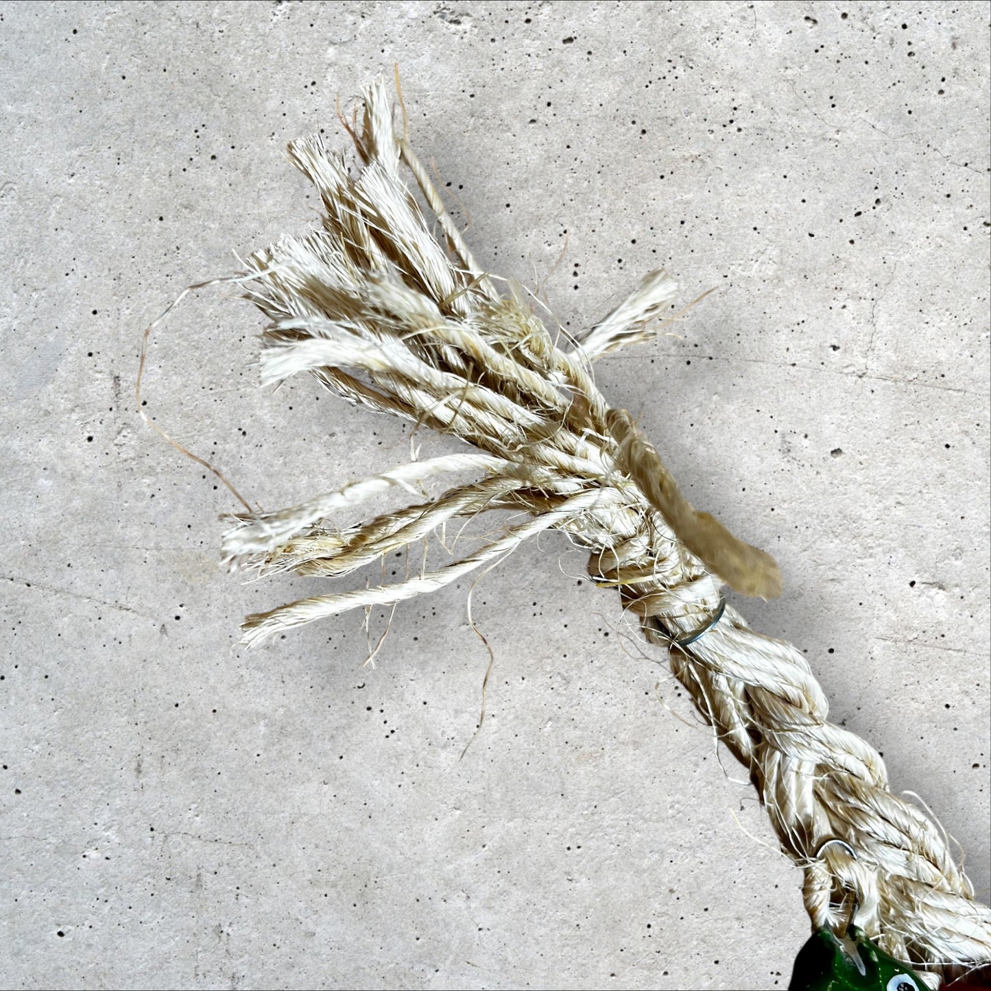 Ceramic tropical fish on a string loop