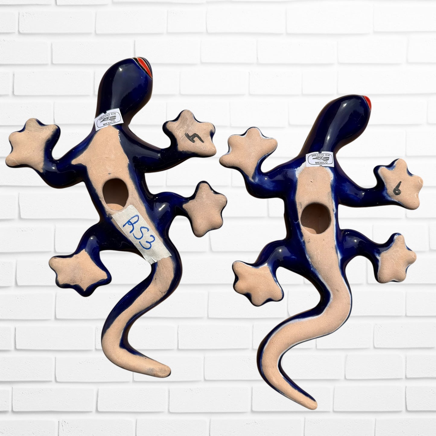 Rio Talavera Salamander Lizard Set