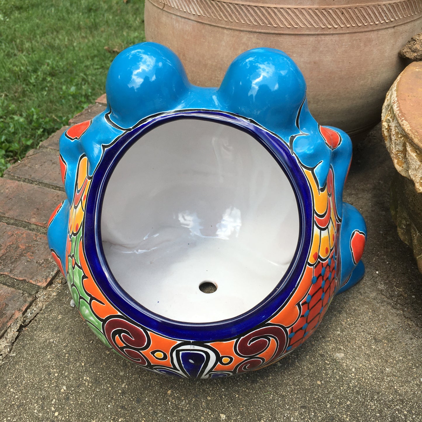 Gordo Frog Planting Pot back