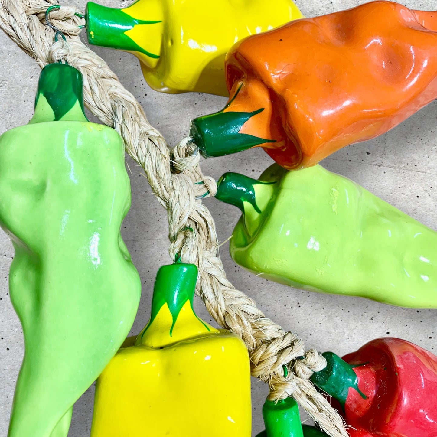 Multicolor poblano pepper string attached to rope