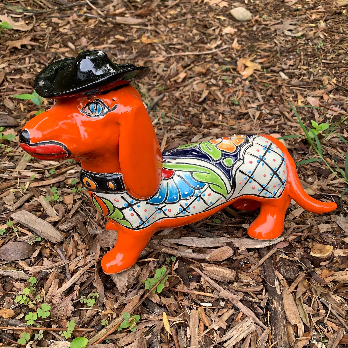 Dachshund Dog Wearing Hat