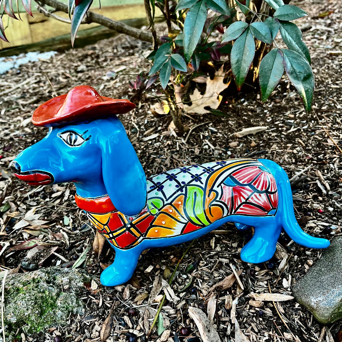 Dachshund Dog Wearing Hat turquoise