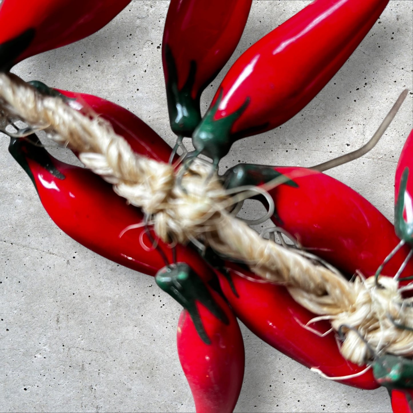 Red color chili peppers attached