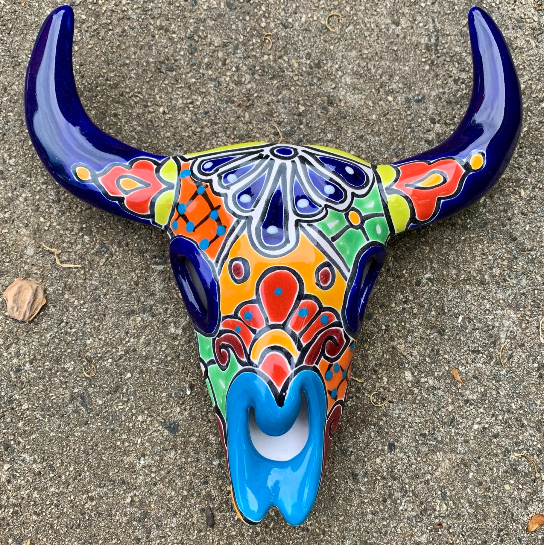 Talavera longhorn skull