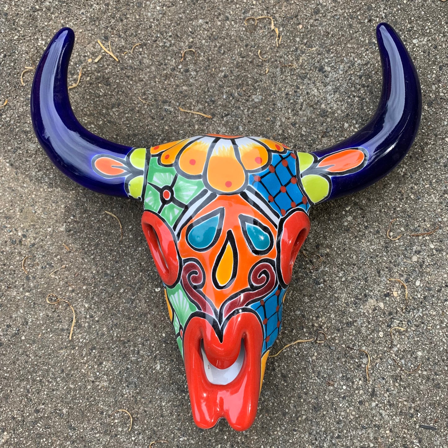 Talavera longhorn skull
