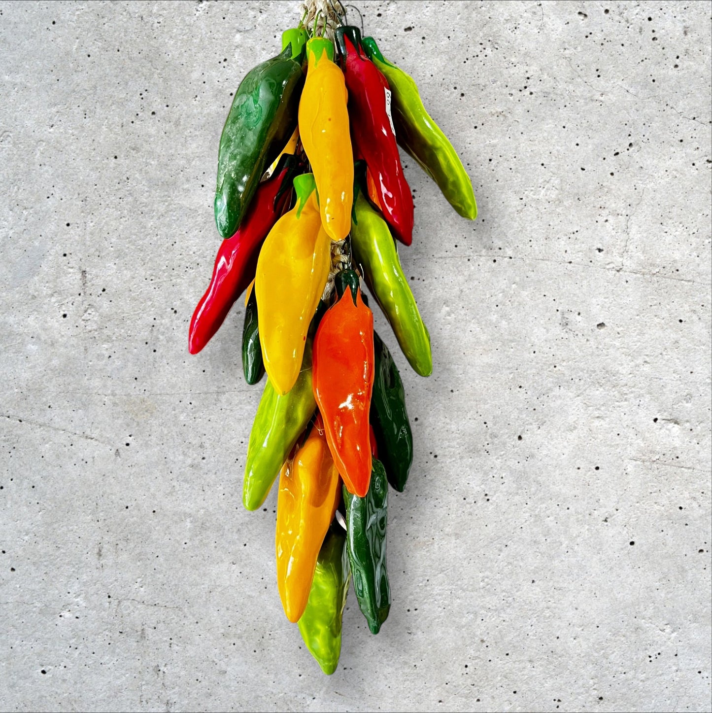 Multi color chili peppers bundle