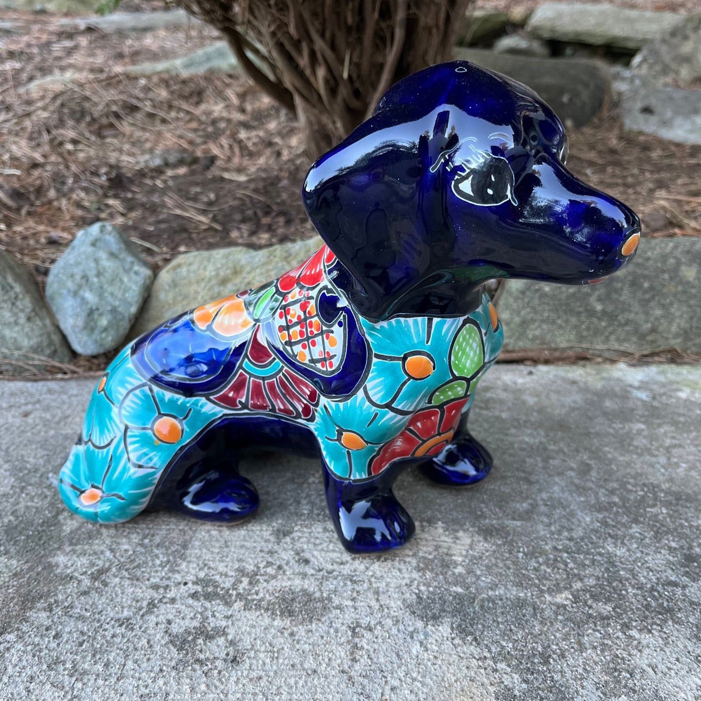 Dachshund Dog Sitting