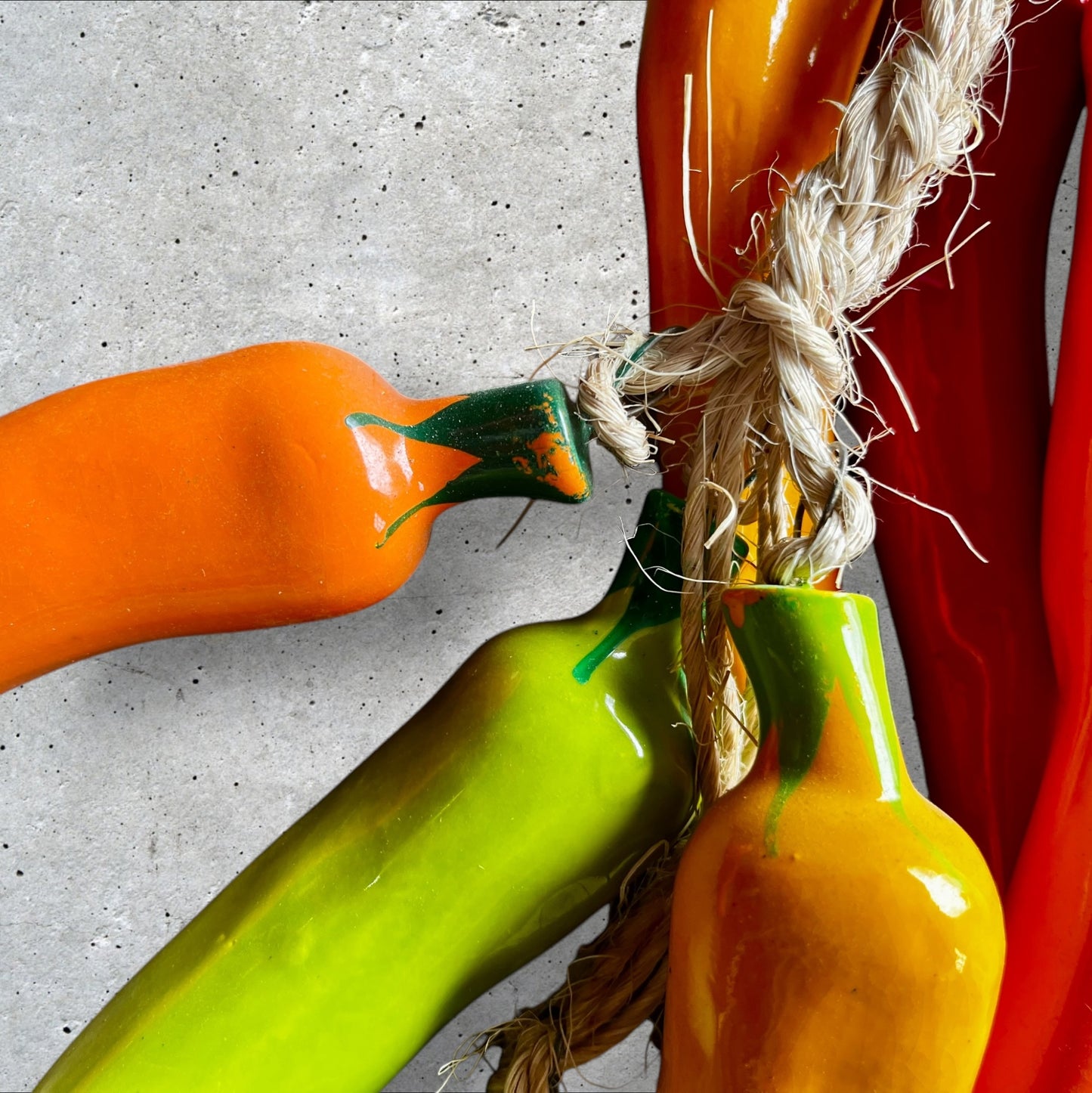 Multi color chili peppers atrached