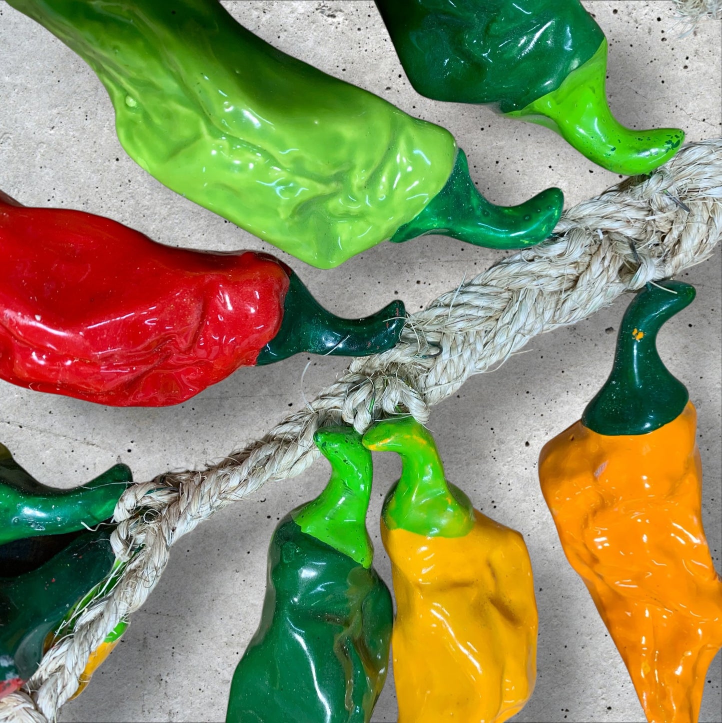 Close-up of Poblano chili pepper attachment to the string