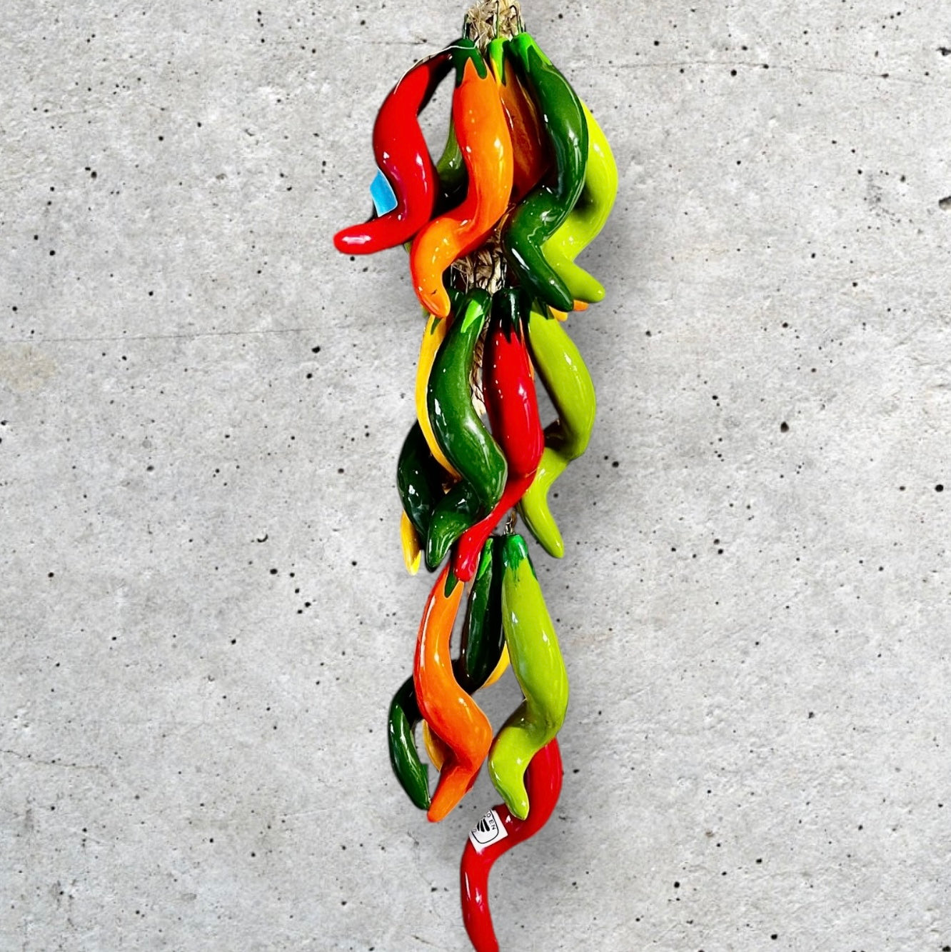 Curly multicolored chili peppers bundle