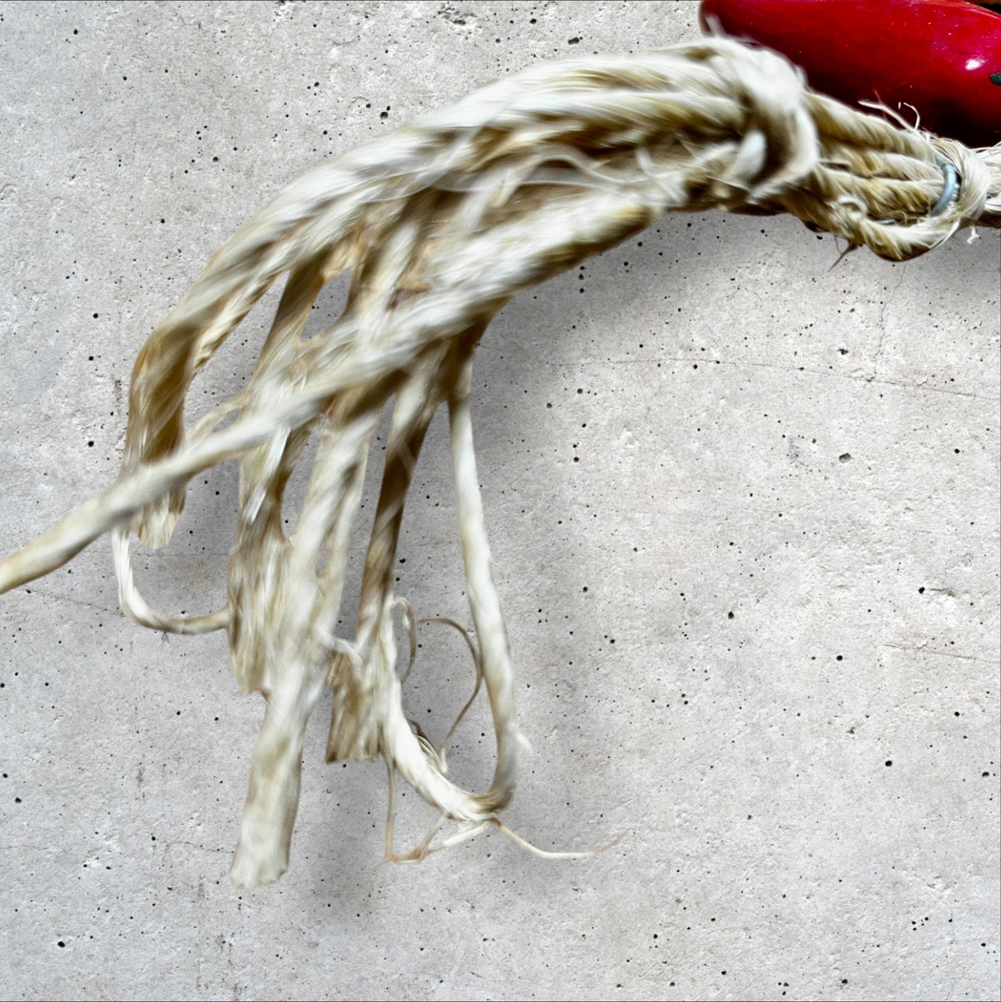Jalapeño pepper multi color ristra hanging loop