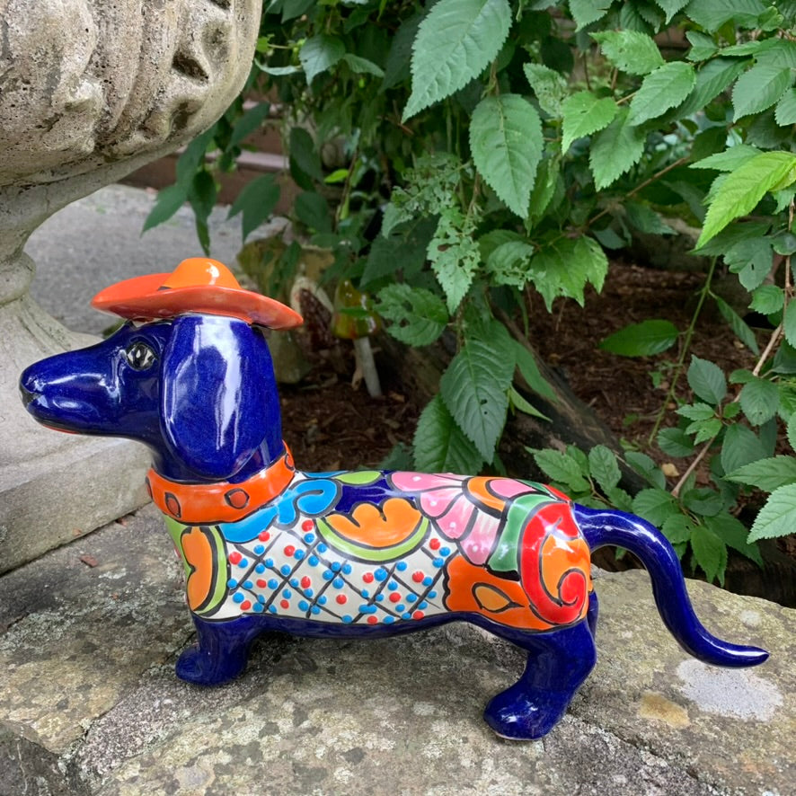 Dachshund Dog Wearing Hat cobalt