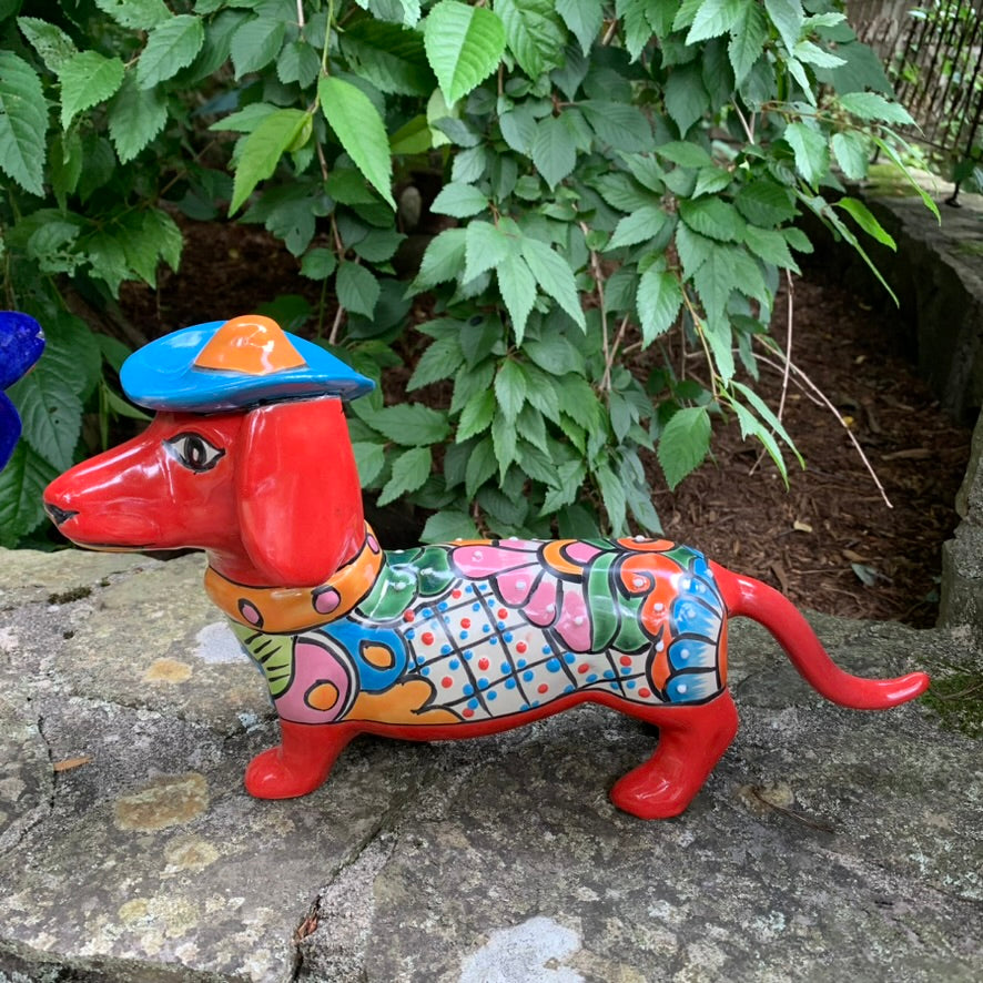 Dachshund Dog Wearing Hat red