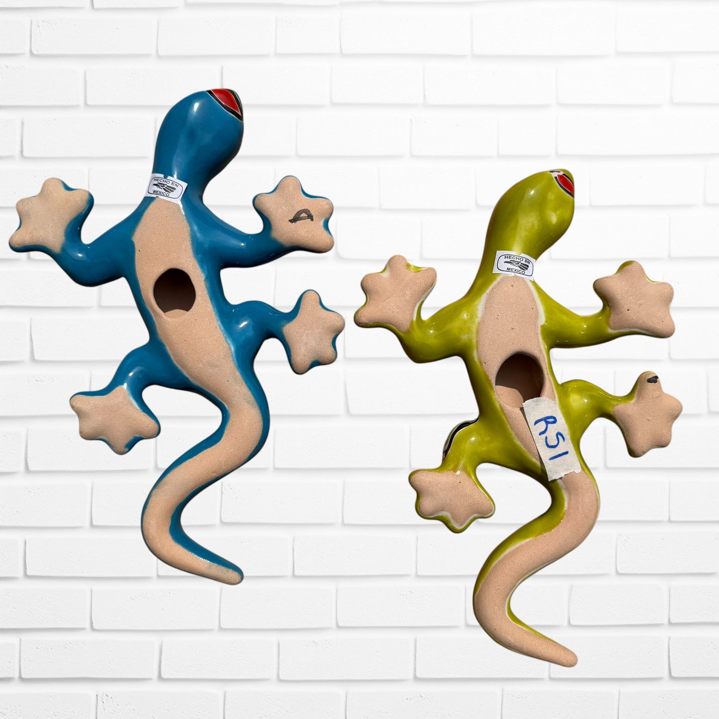 Rio Talavera Salamander Lizard Set