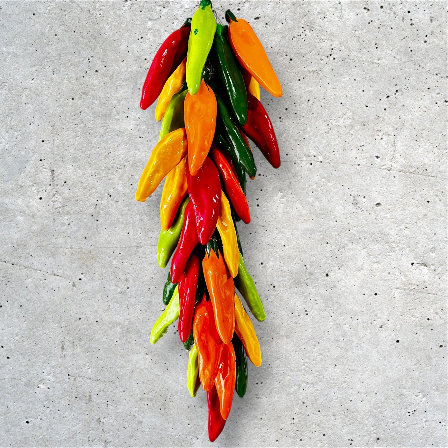 Multi color chili peppers bundle