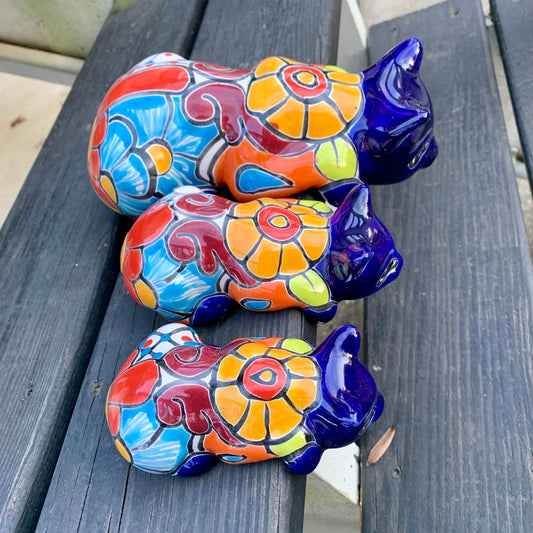 Aloe vera peeking kitty set of three cats