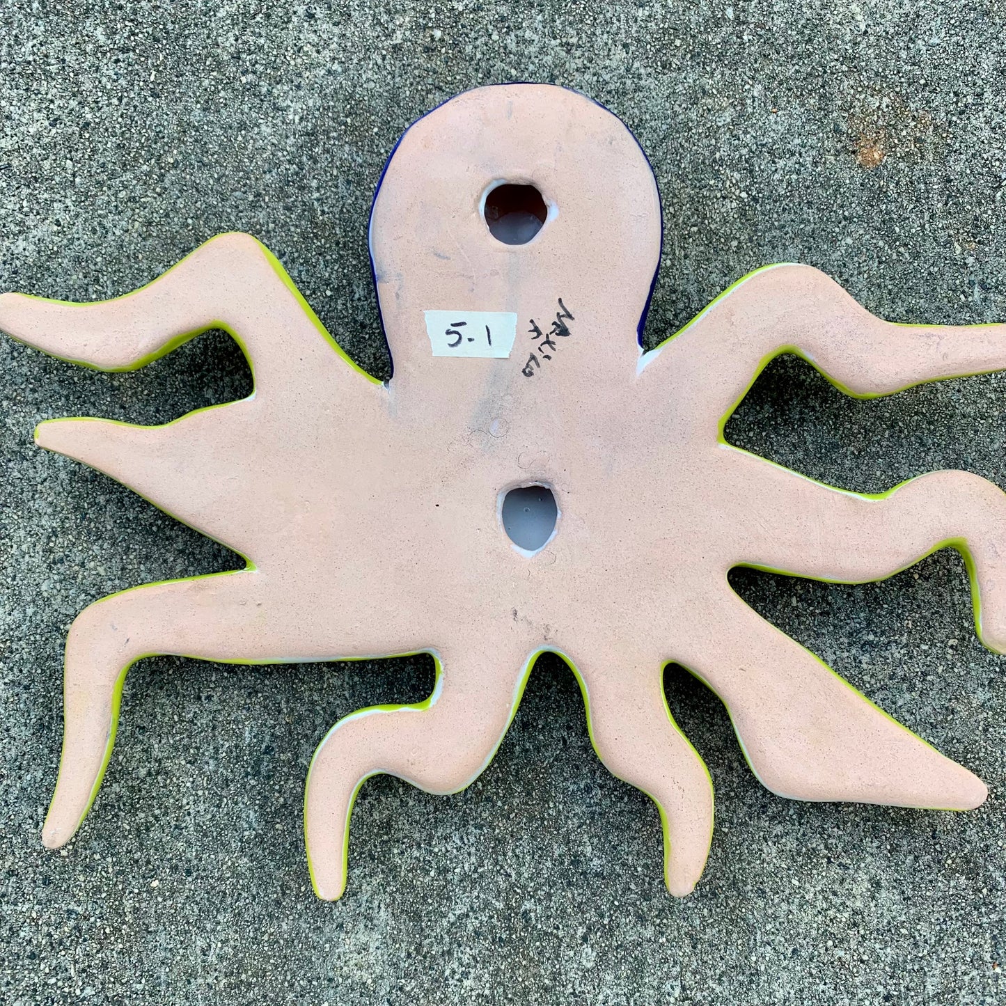 Talavera Octopus back