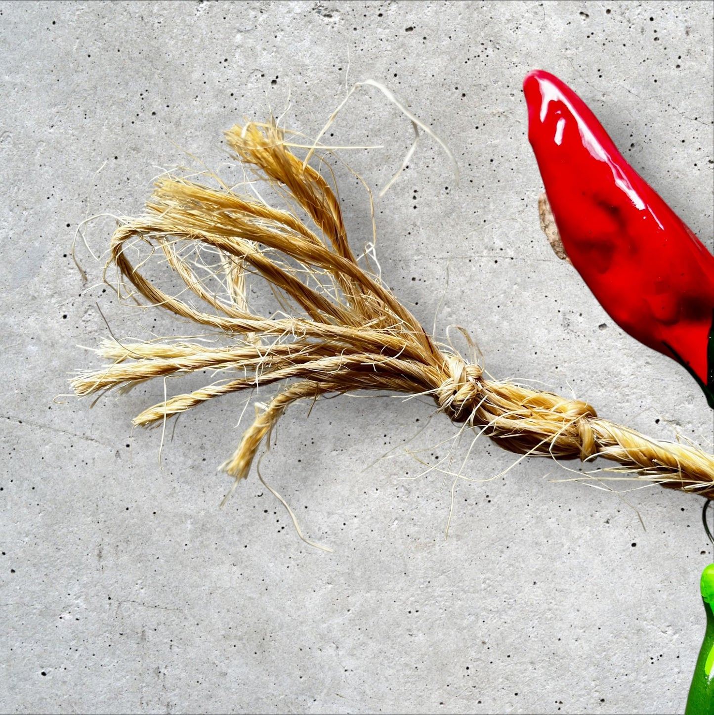 Multi color chili peppers loop