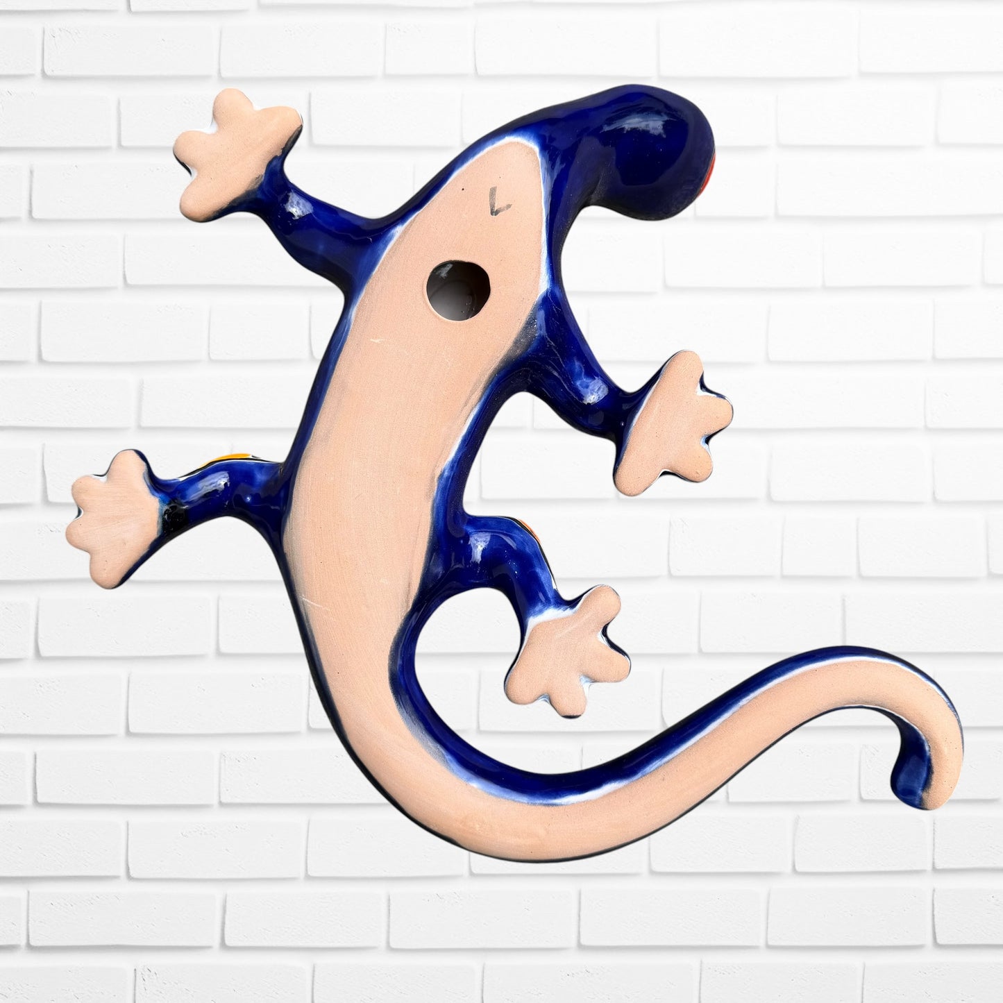back of salamander lizard showing opening to hand on wall.