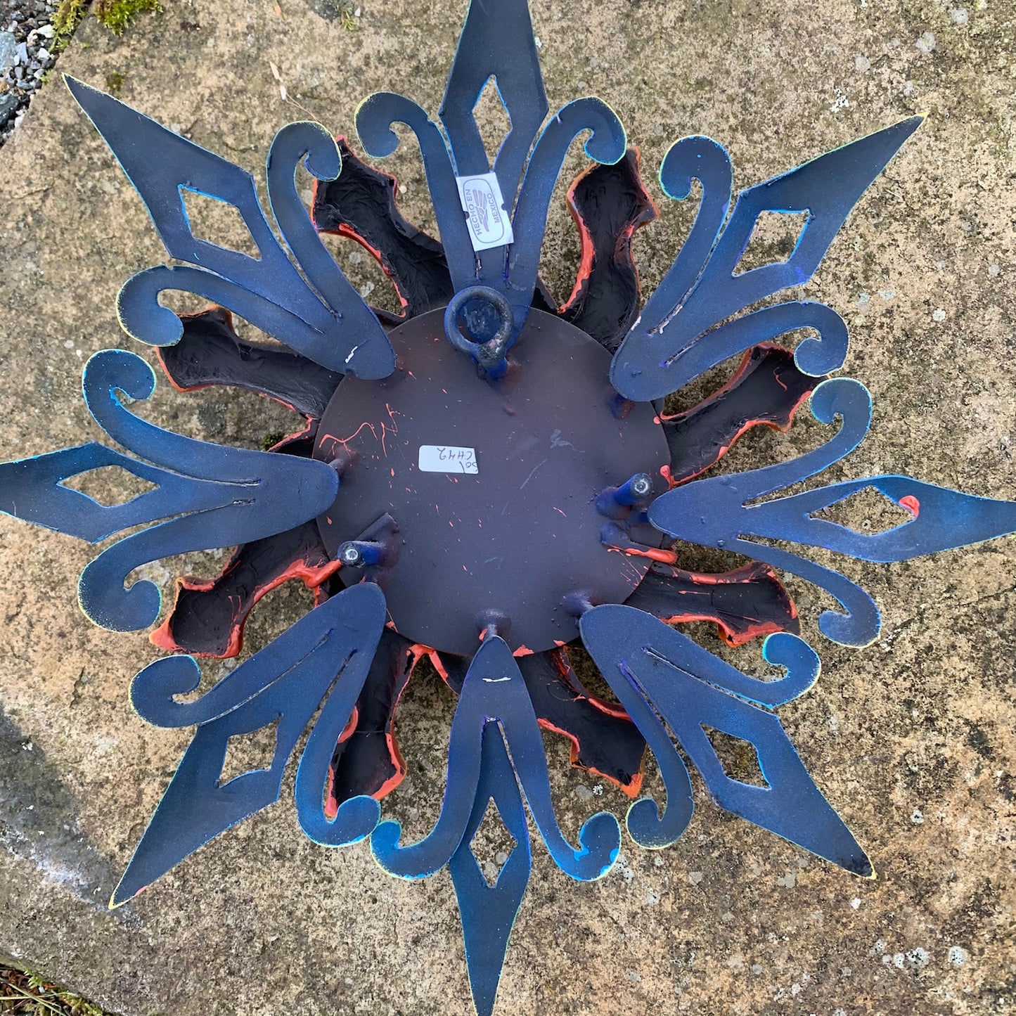 Sun with Tropical Parrot