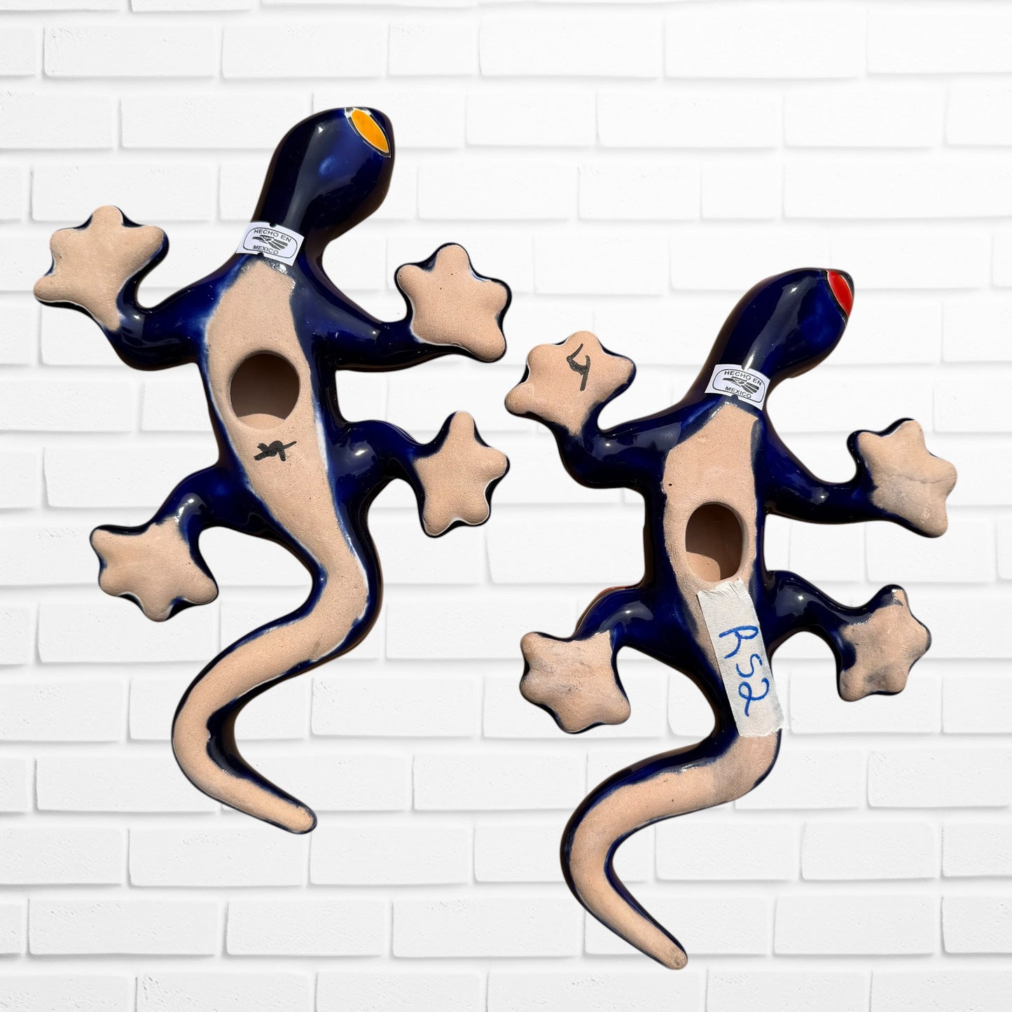 Rio Talavera Salamander Lizard Set
