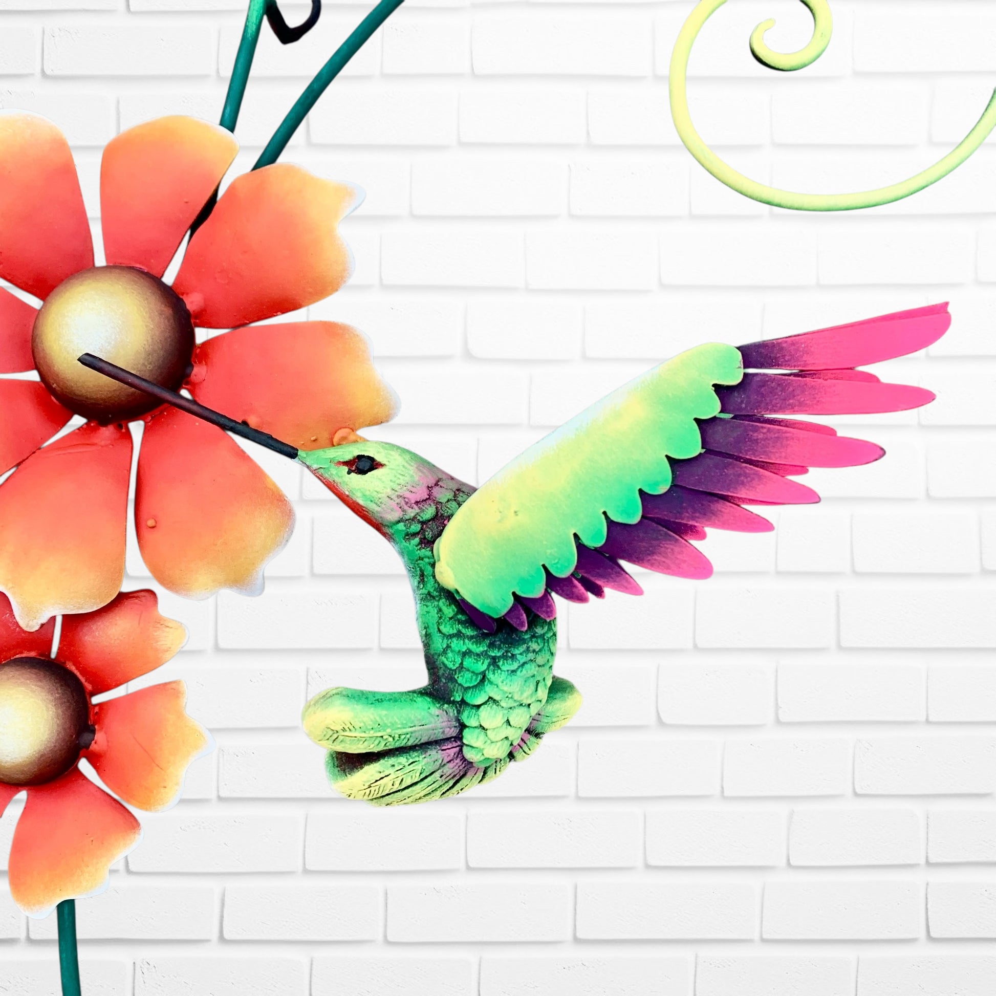 Hummingbird Orange Flower Cluster bird close up