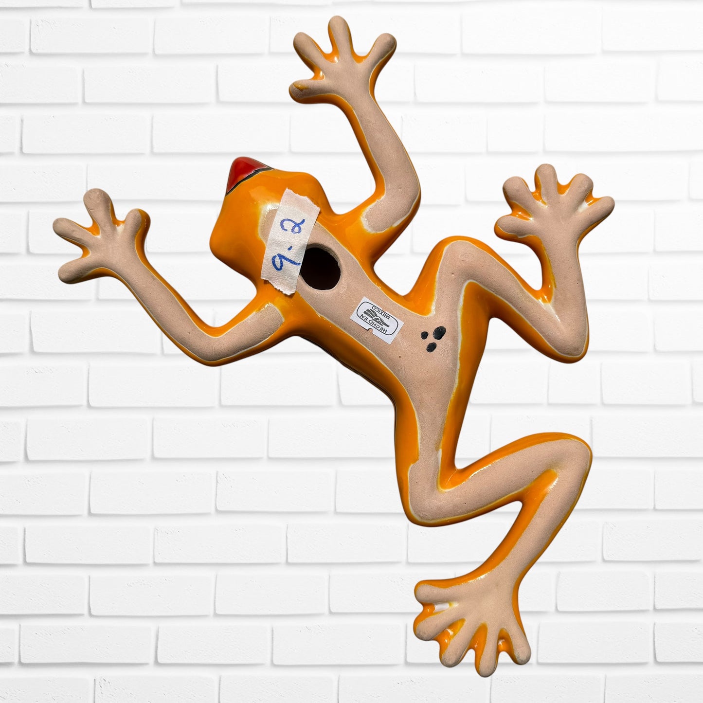 back of wall frog showing a hole for hanging
