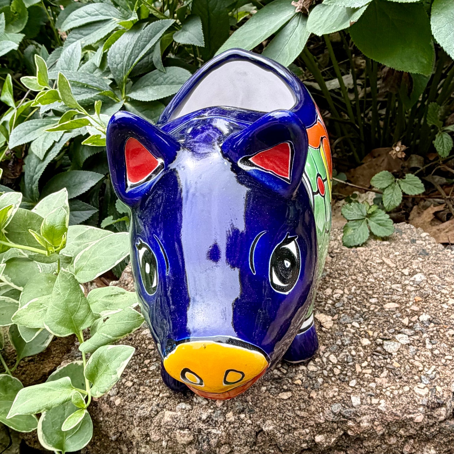 Colorful Talavera ceramic pig planter on a stone surface with green plants in the background Face view