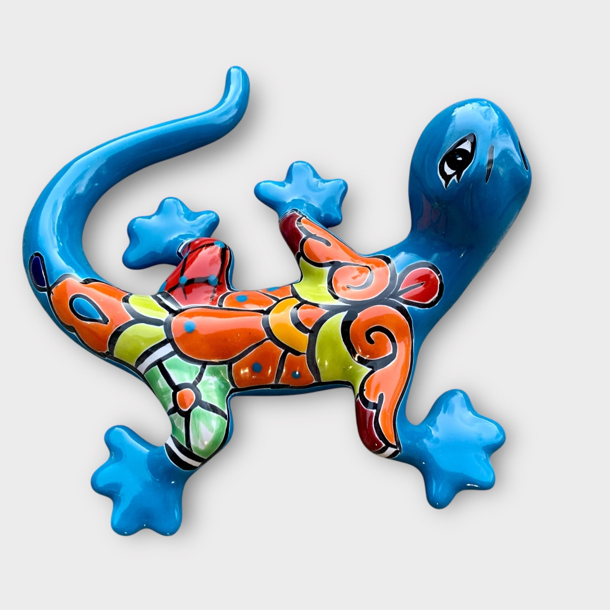 Talavera salamander Lizard  back