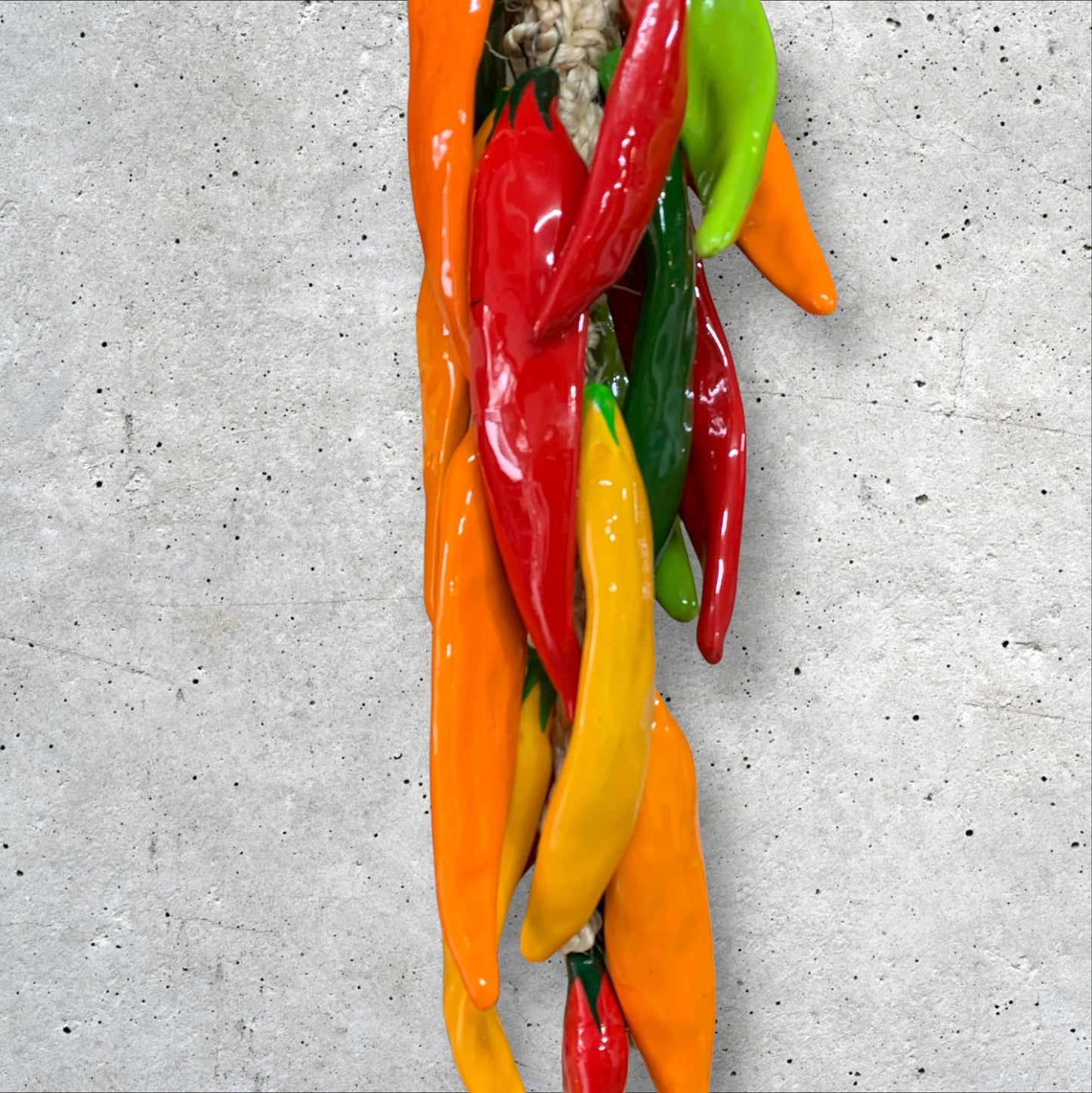 Guajillo Chili Pepper String! Multi Color 25”