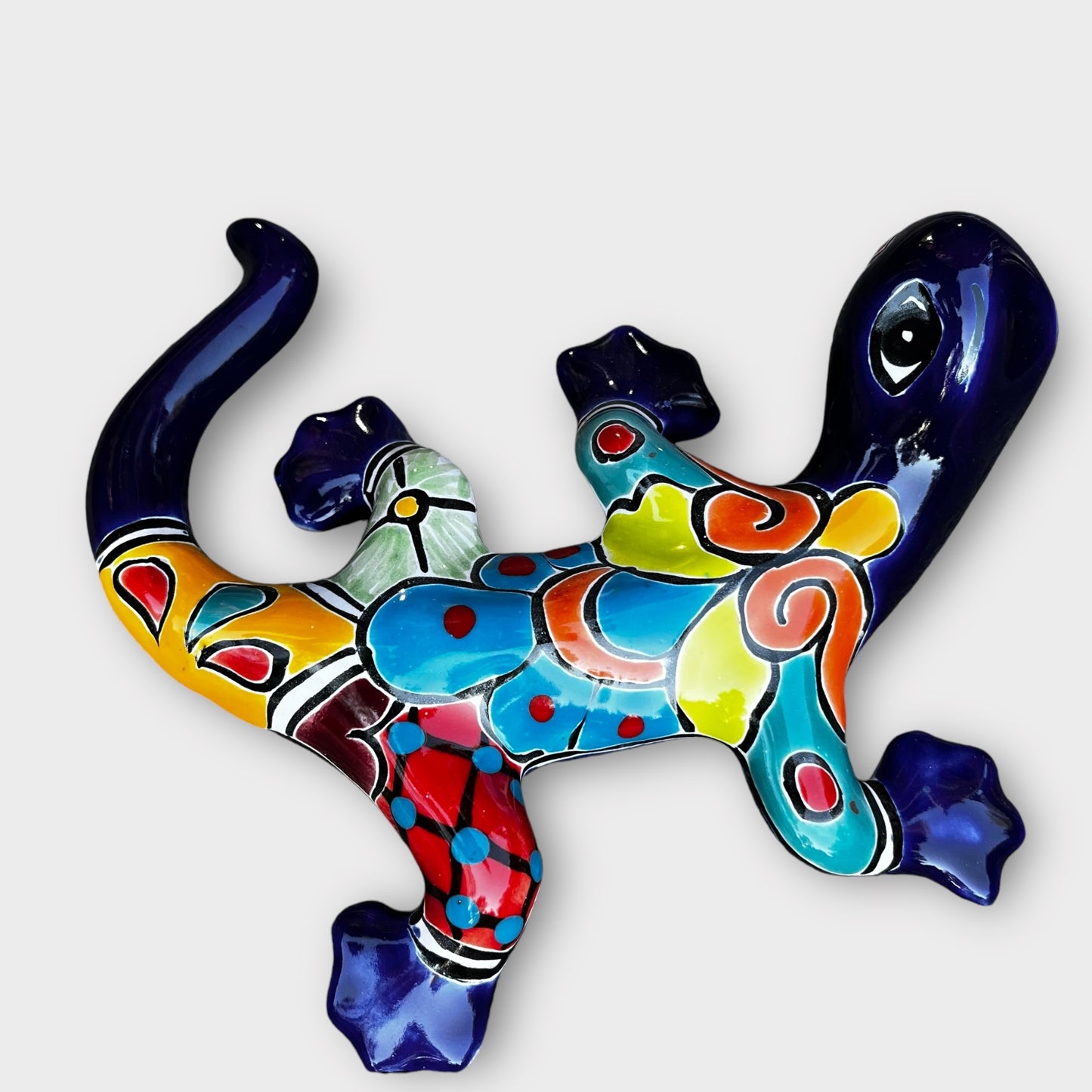 Talavera salamander lizard back