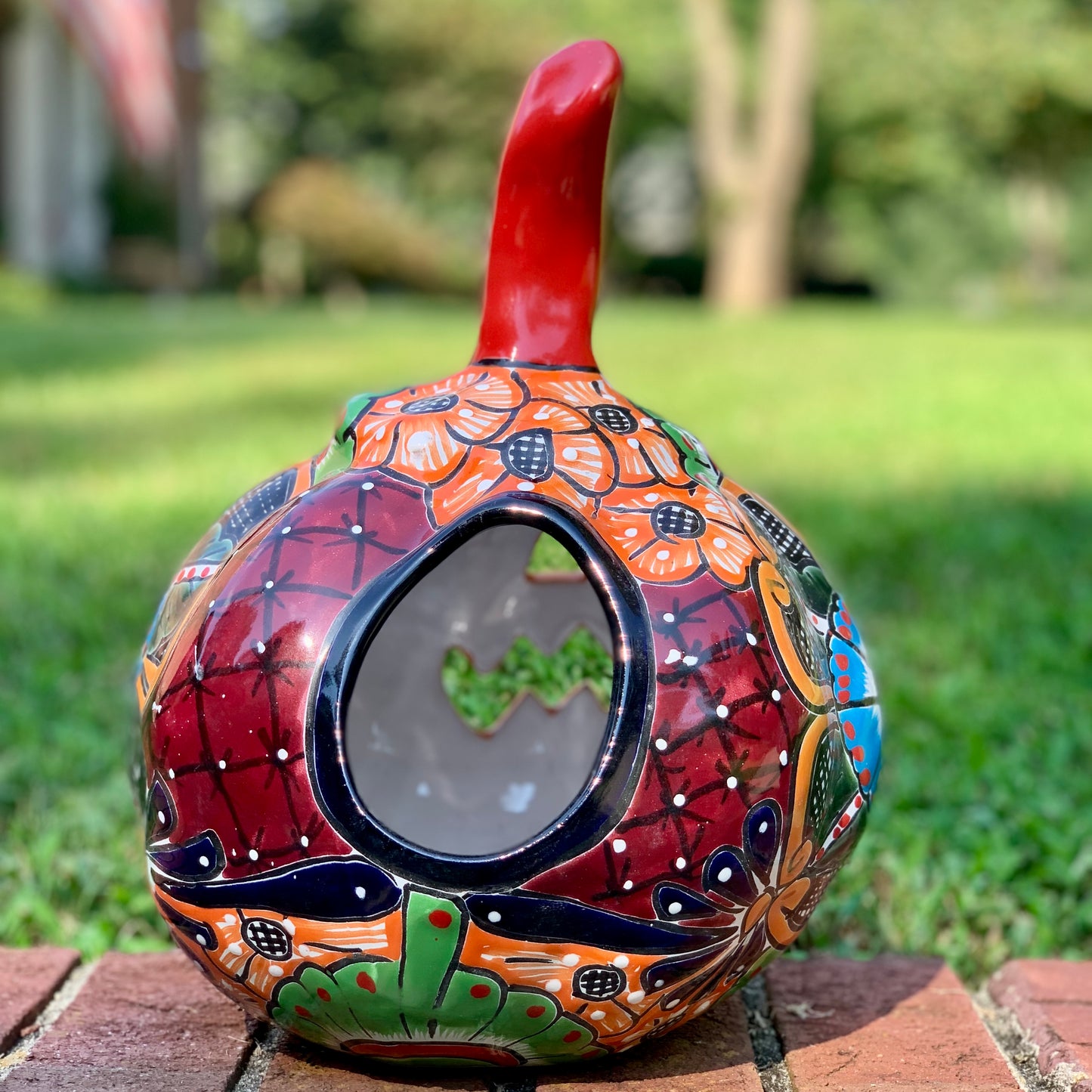 Remy talavera pumpkin jol back