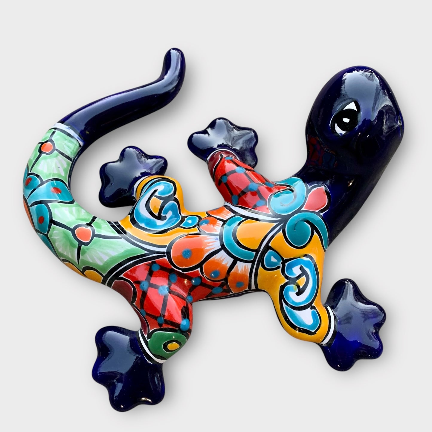 Talavera salamander Lizard  back