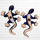 Rio Talavera Salamander Lizard Set