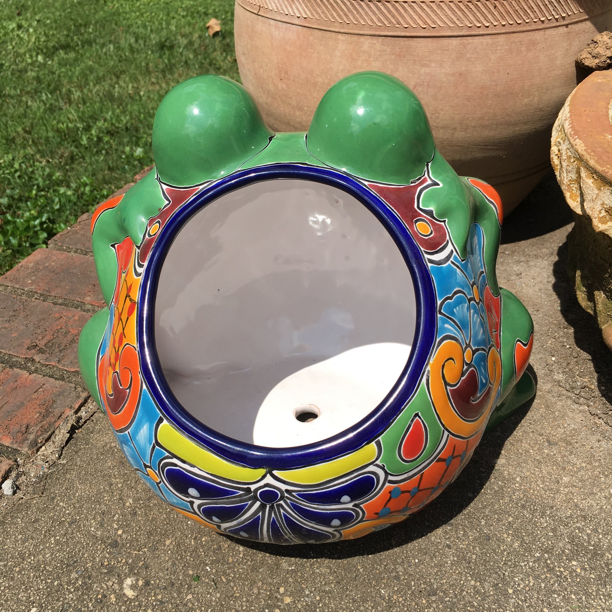 Gordo Frog Planting Pot back