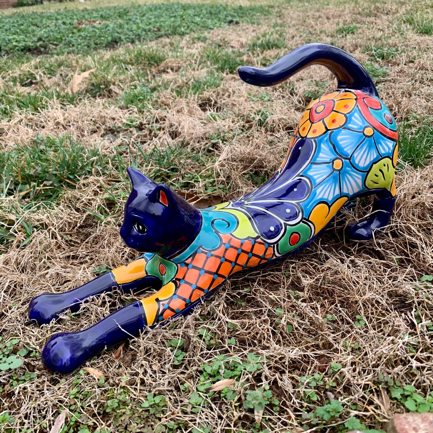 Stretching Kitty Cat Grande