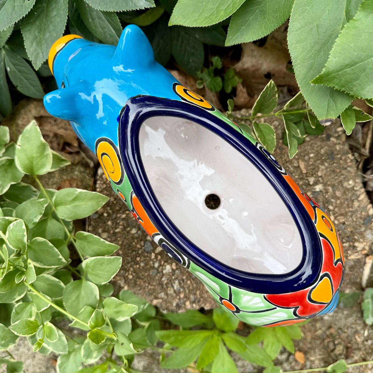 Colorful Talavera ceramic pig planter on a stone surface with green plants in  Background top planter opening