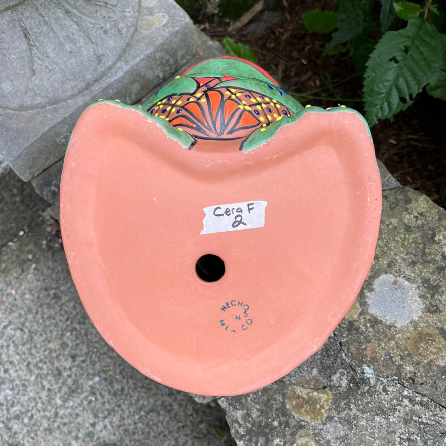 Hand Painted Frog Bottom with drain hole