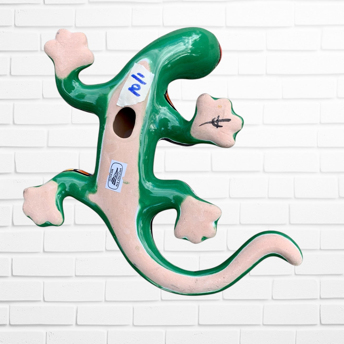 Talavera lizard salamander
Bottom view