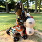 A colorful Talavera dog statue holding a big white bone, photographed outdoors on grass with trees in the background. The dog has a glossy black body, blue eyes, an orange snout, and multicolored patterned ears. Left side view of the dog.