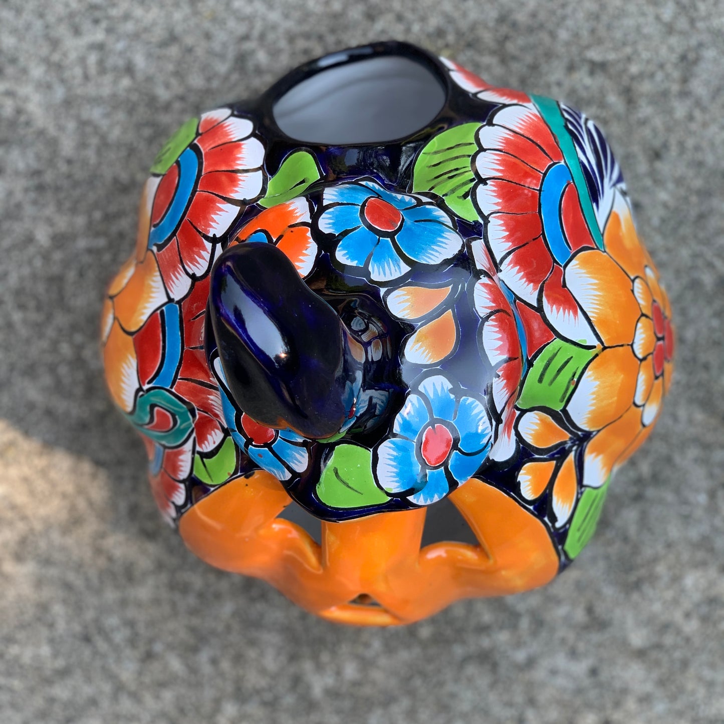 Remy talavera pumpkin jol top