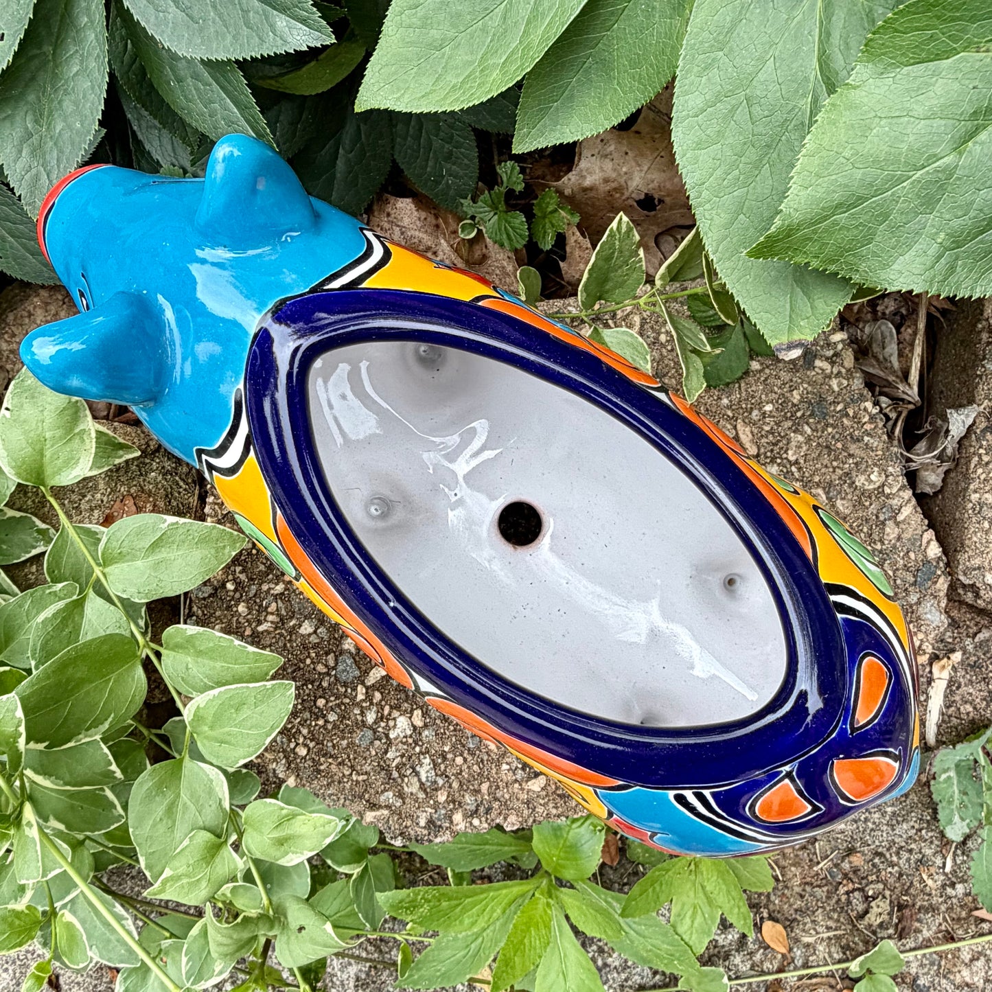Colorful Talavera ceramic pig planter on a stone surface with green plants in  Background top planter opening