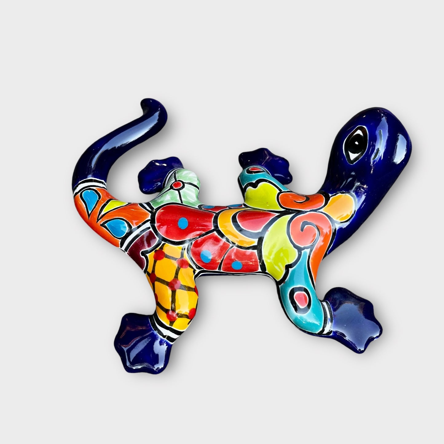 Talavera salamander lizard back