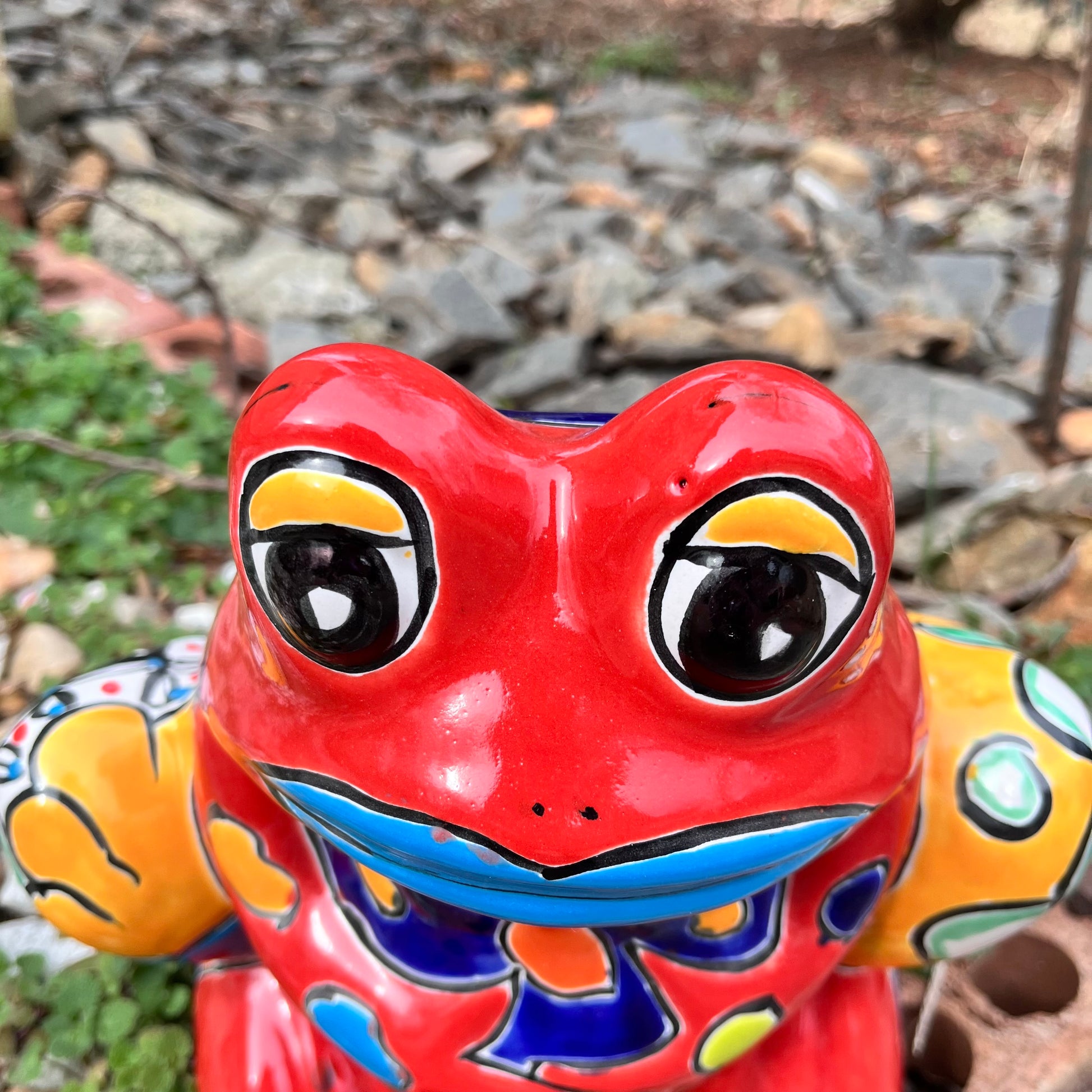 Mexican Talavera, frog pot face close-up
