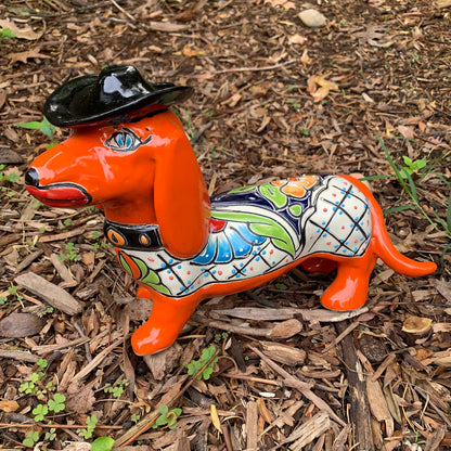 Dachshund Dog Wearing Hat
