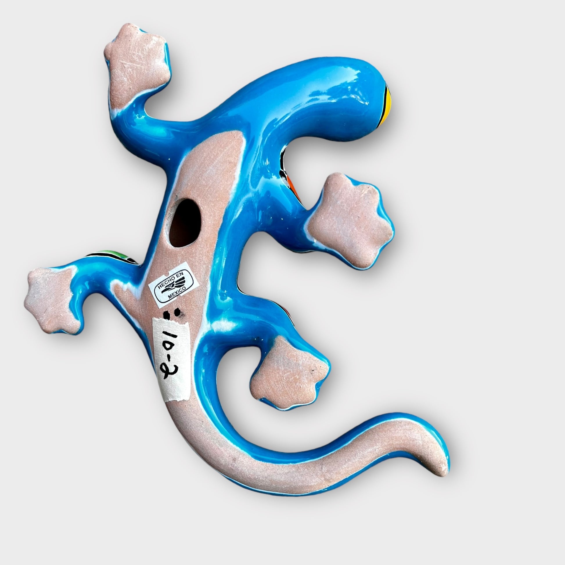 Talavera salamander lizard back