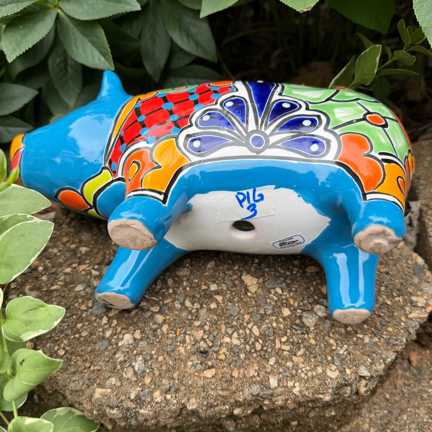 Colorful Talavera ceramic pig planter on a stone surface with green plants in  Background Bottom, drain hole